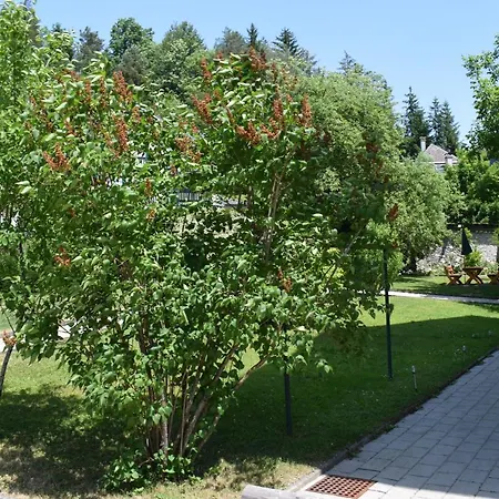 Guest house Fruehstueckspension Josefinum *