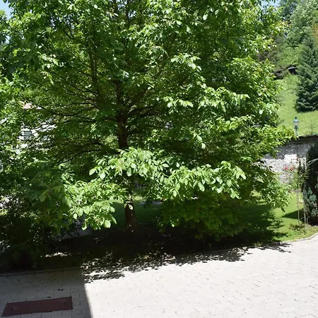 Guest house Fruehstueckspension Josefinum