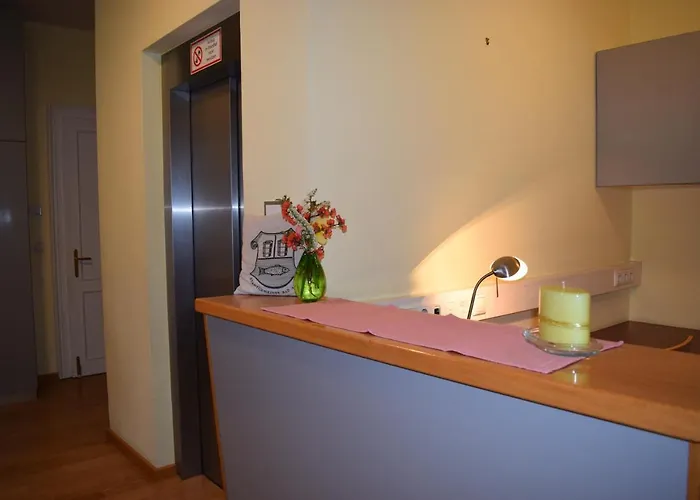 Fruehstueckspension Josefinum בית הארחה באד אאוסי