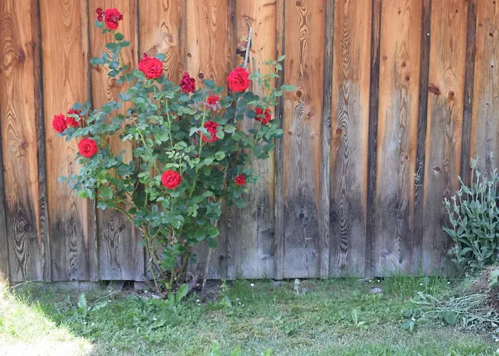 Gasthuis Fruehstueckspension Josefinum Bad Aussee