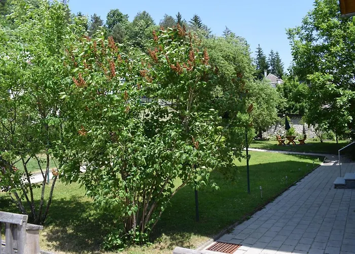 Affittacamere Fruehstueckspension Josefinum *